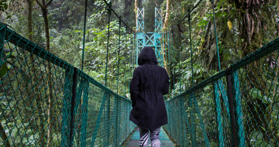 Costa Rica Bridges
